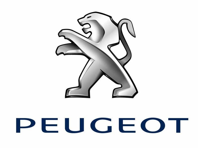 Peugeot Garage Rissoan