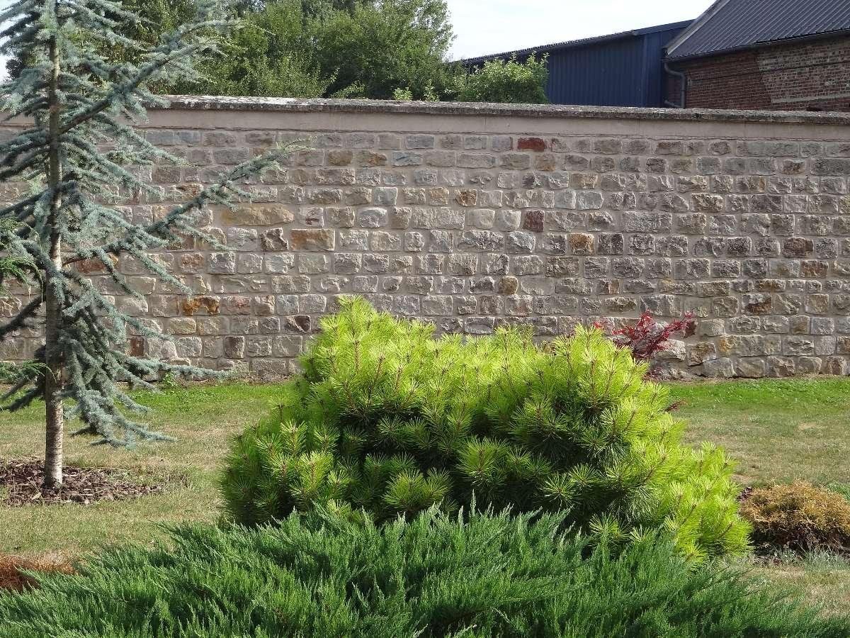 Rejointoiement de grés - ravalement Moncourtois Richard Laon Aisne 02