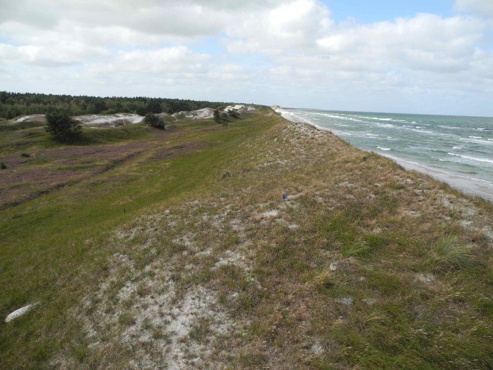 Weg auf den Dünen an der Ostsee