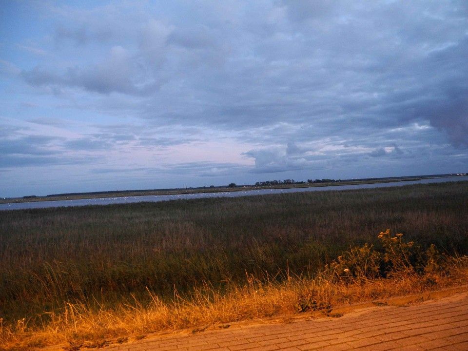 Dünen an der Ostsee