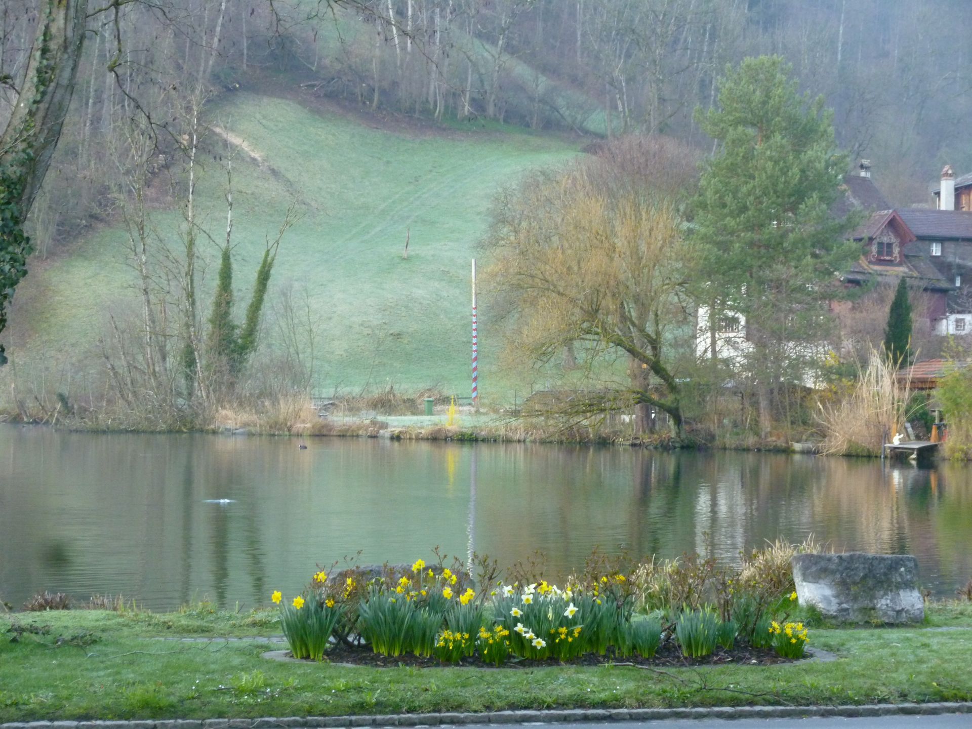 Ein See mit Blumen im Vordergrund und Bäumen im Hintergrund.