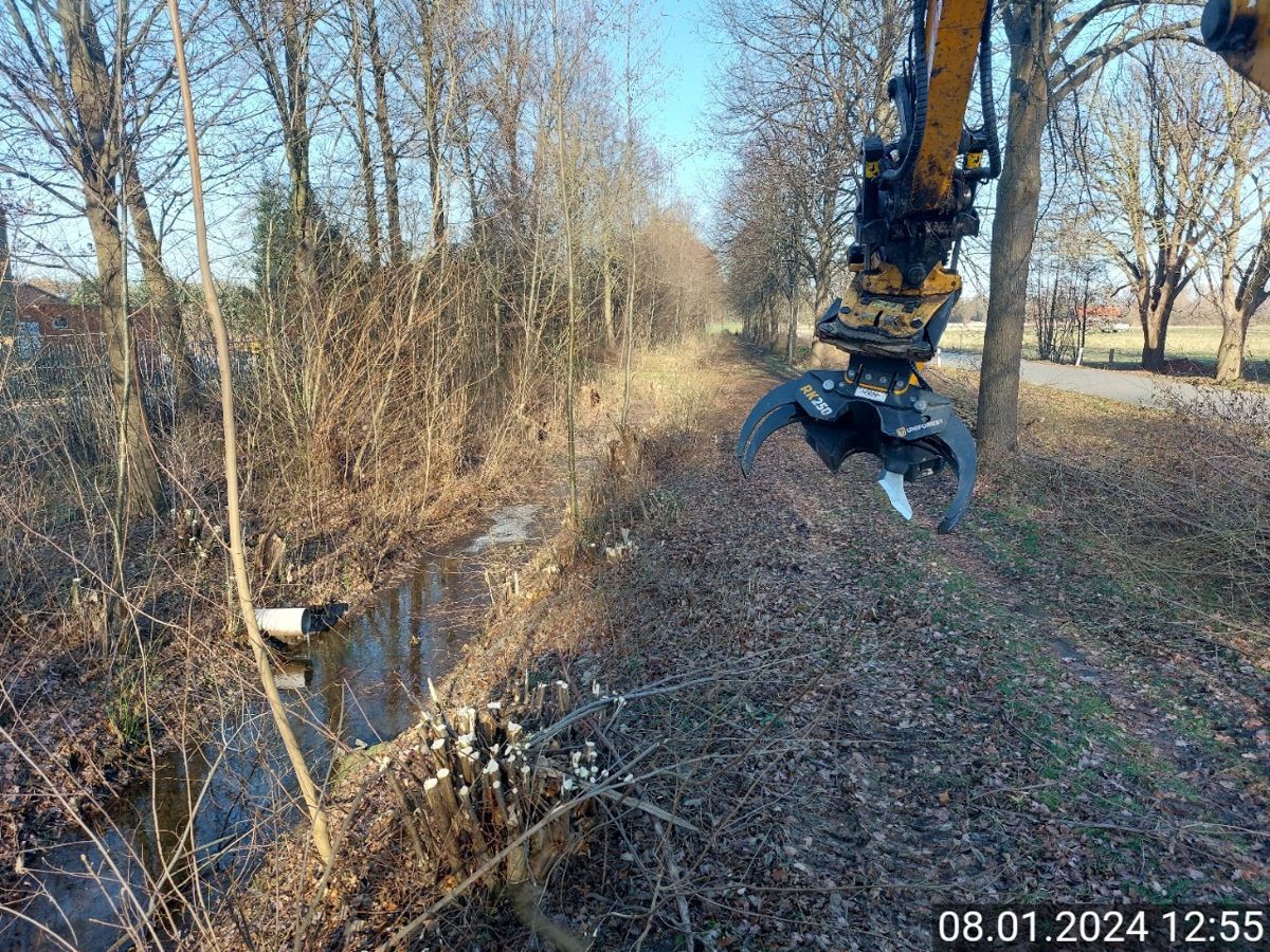 Ein Kran fällt einen Baum neben einem Fluss.