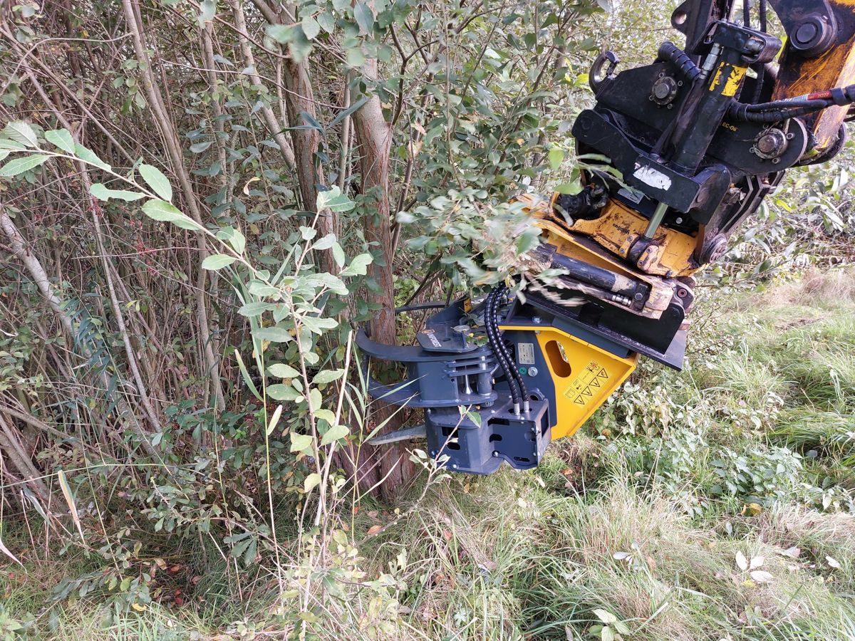 Eine Maschine fällt im Wald einen Baum.