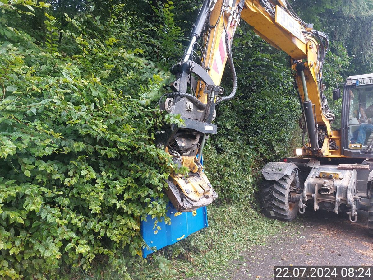 Ein gelb-schwarzer Bagger schneidet eine Hecke.