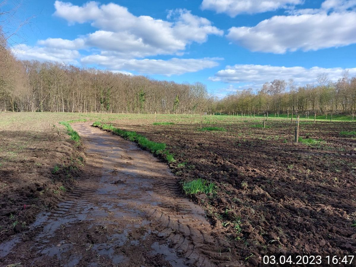 Ein Feldweg führt durch ein schlammiges Feld mit Bäumen im Hintergrund.