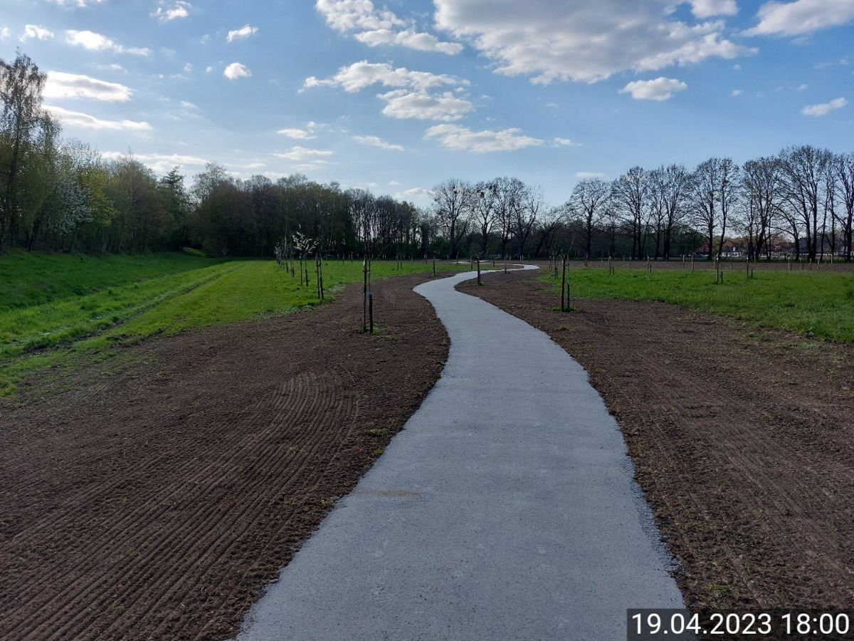 Ein Betonweg, der durch ein Feld mit Bäumen auf beiden Seiten führt.
