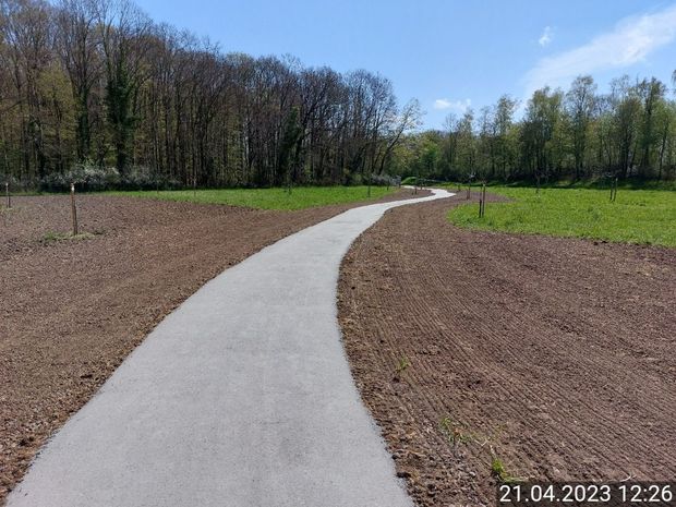 Ein Weg durch ein Feld mit Bäumen im Hintergrund