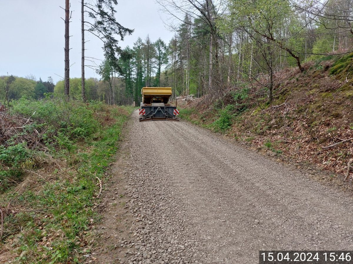 Ein Muldenkipper fährt auf einem Feldweg durch den Wald.