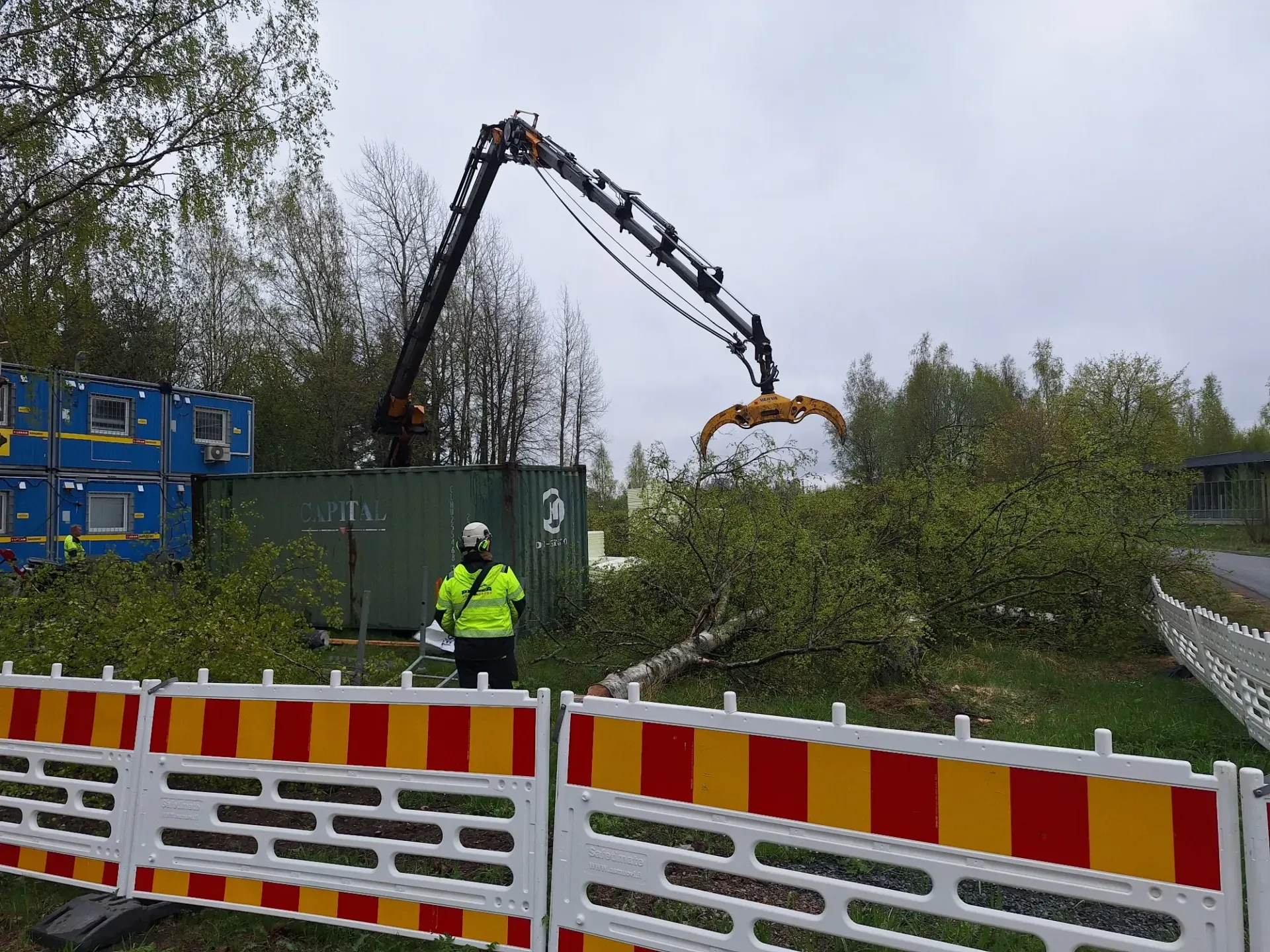AMEP.fi suorittaa ammattitaitoiset puunkaadot koko Satakunnan alueella.