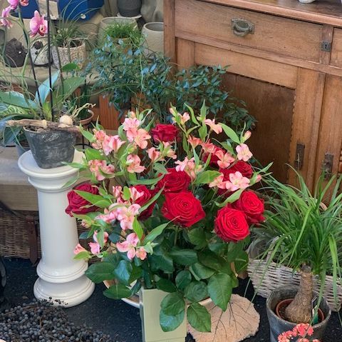 Blumengeschäft - Brunnen - Sonja's Blumen-Boutique