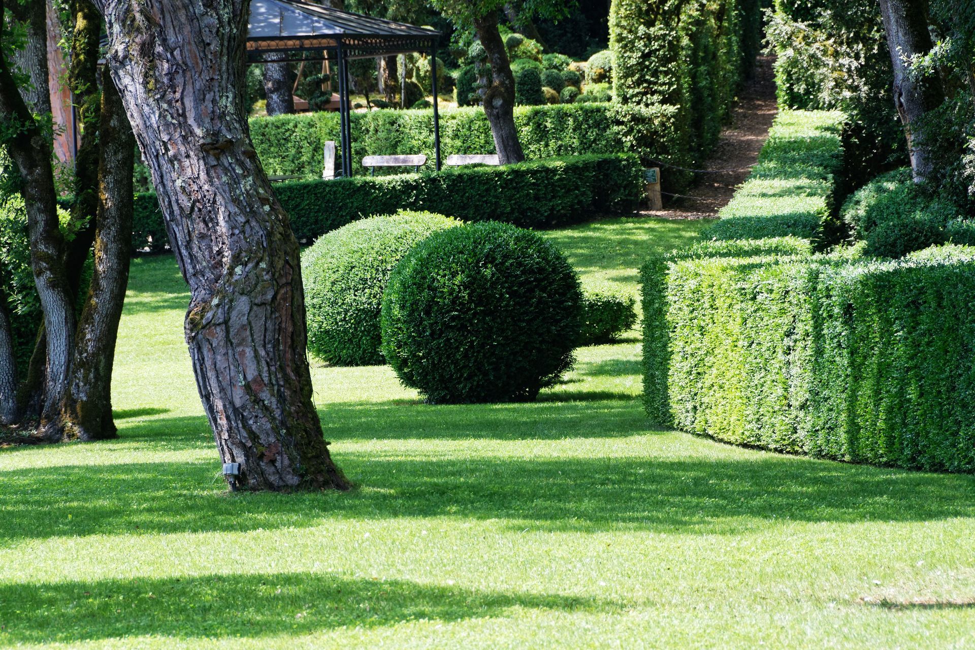Jardin soigné avec haies taillées, arbustes sphériques et pelouse verte. Le soleil projette des ombres sur l'herbe.