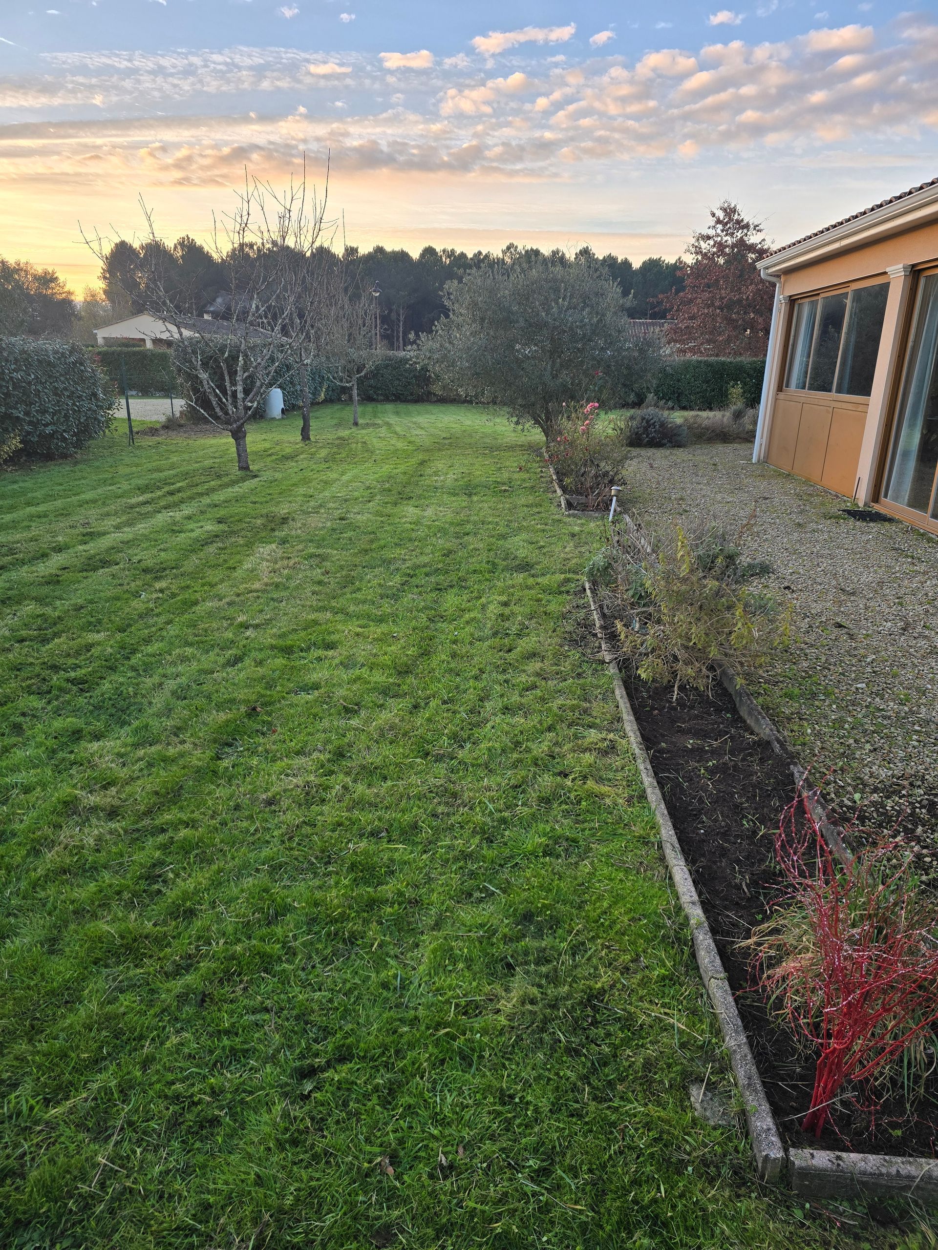 Pelouse verte parsemée de petits arbres, parterre de fleurs et maison avec véranda. Le ciel est bleu et orange.