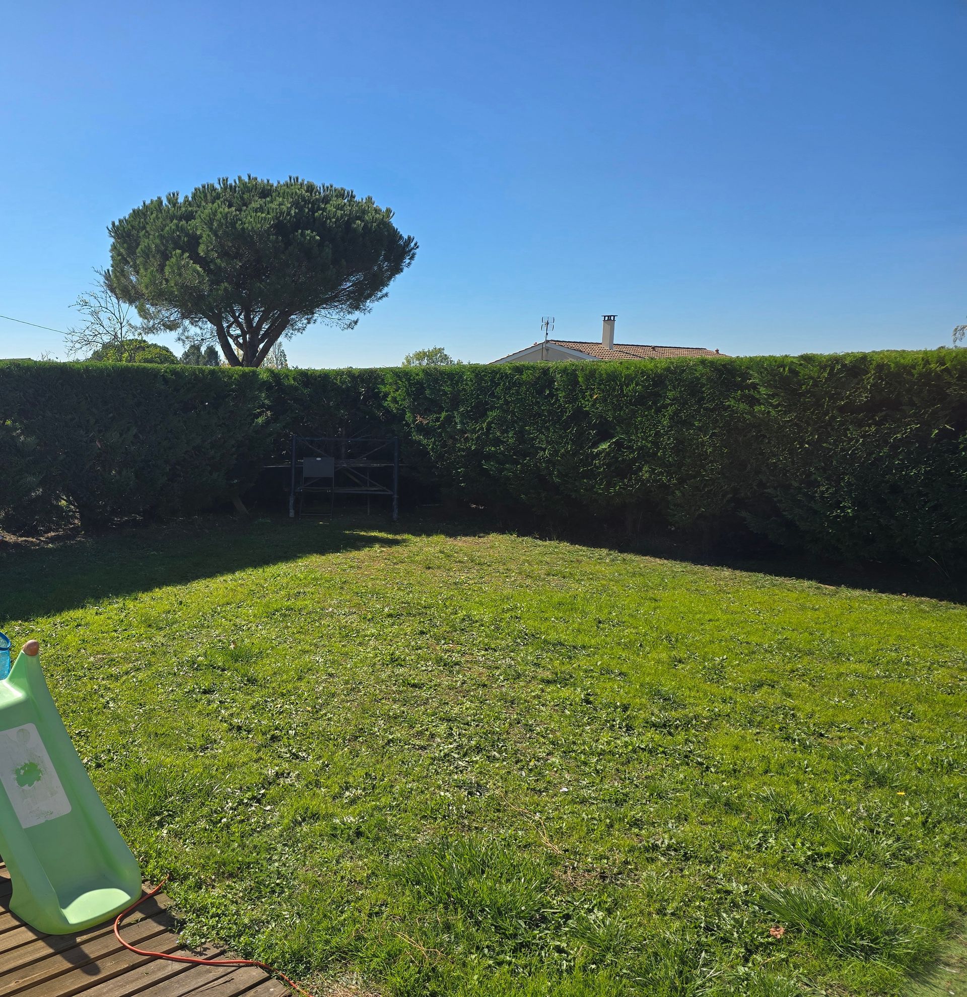 Pelouse bordée d'une haute haie verte, d'un arbre et d'un ciel bleu. Un toboggan se trouve à gauche.