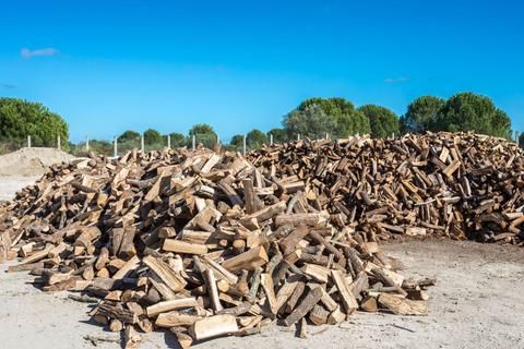 Bois à vendre
