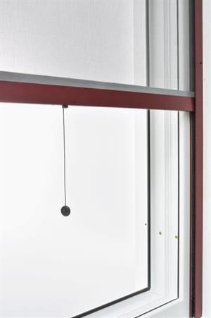 Nahaufnahme eines Fensters mit kastanienbraunem Fliegengitter und Zugschnur; weiße Innenwand.