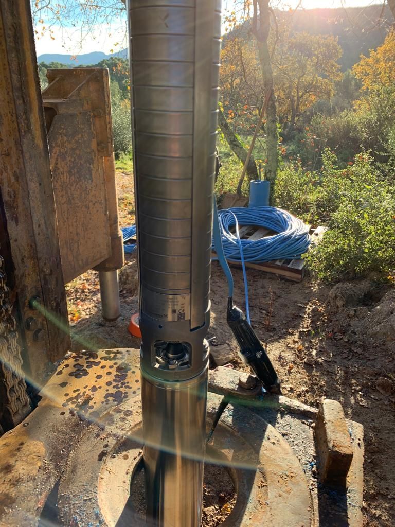 Forage dans la campagne