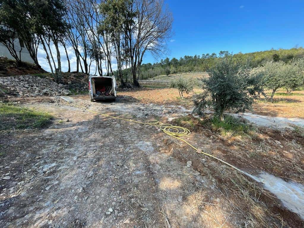 Champs d'oliviers avec une camionnette