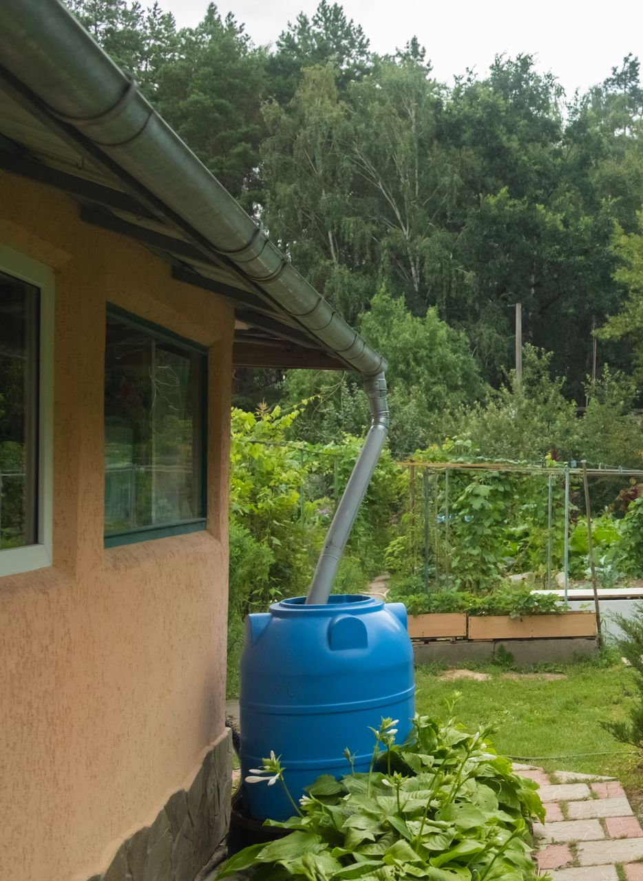 Baril de pluie bleu collectant l'eau d'une gouttière sur le côté d'une maison dans un jardin.