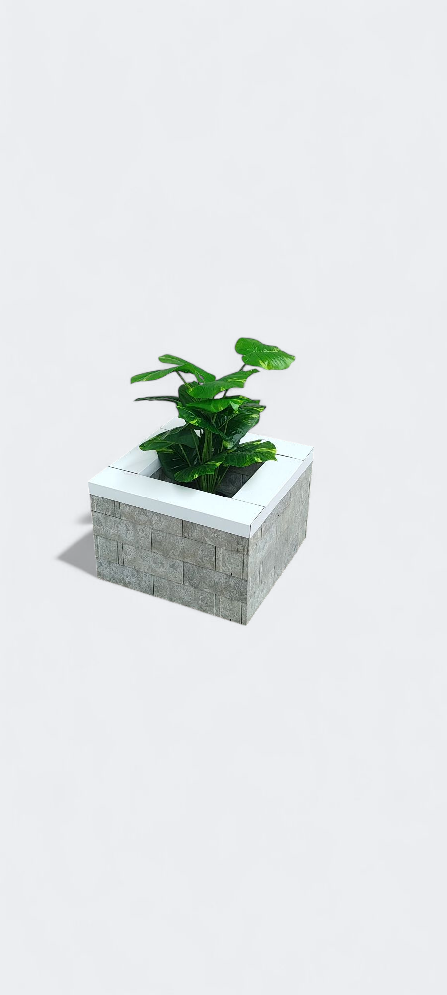 Una pequeña planta está creciendo en una maceta cuadrada de hormigón.