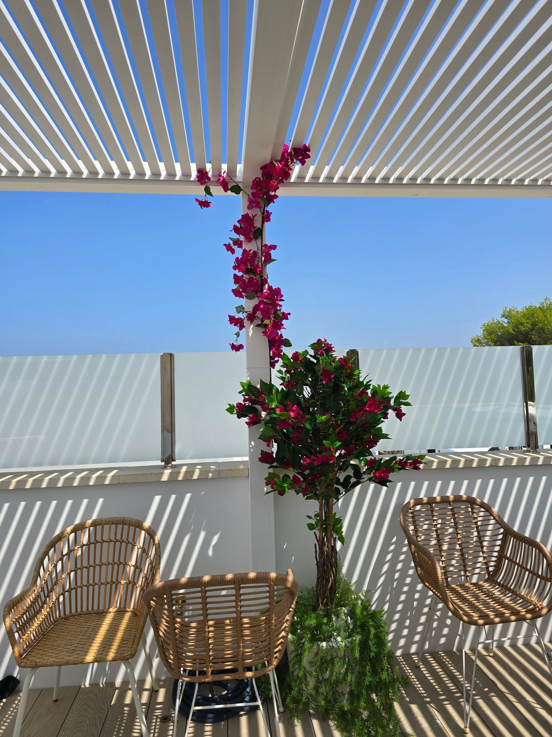 Sillas de mimbre bajo una pérgola blanca, con buganvillas y cielo azul.