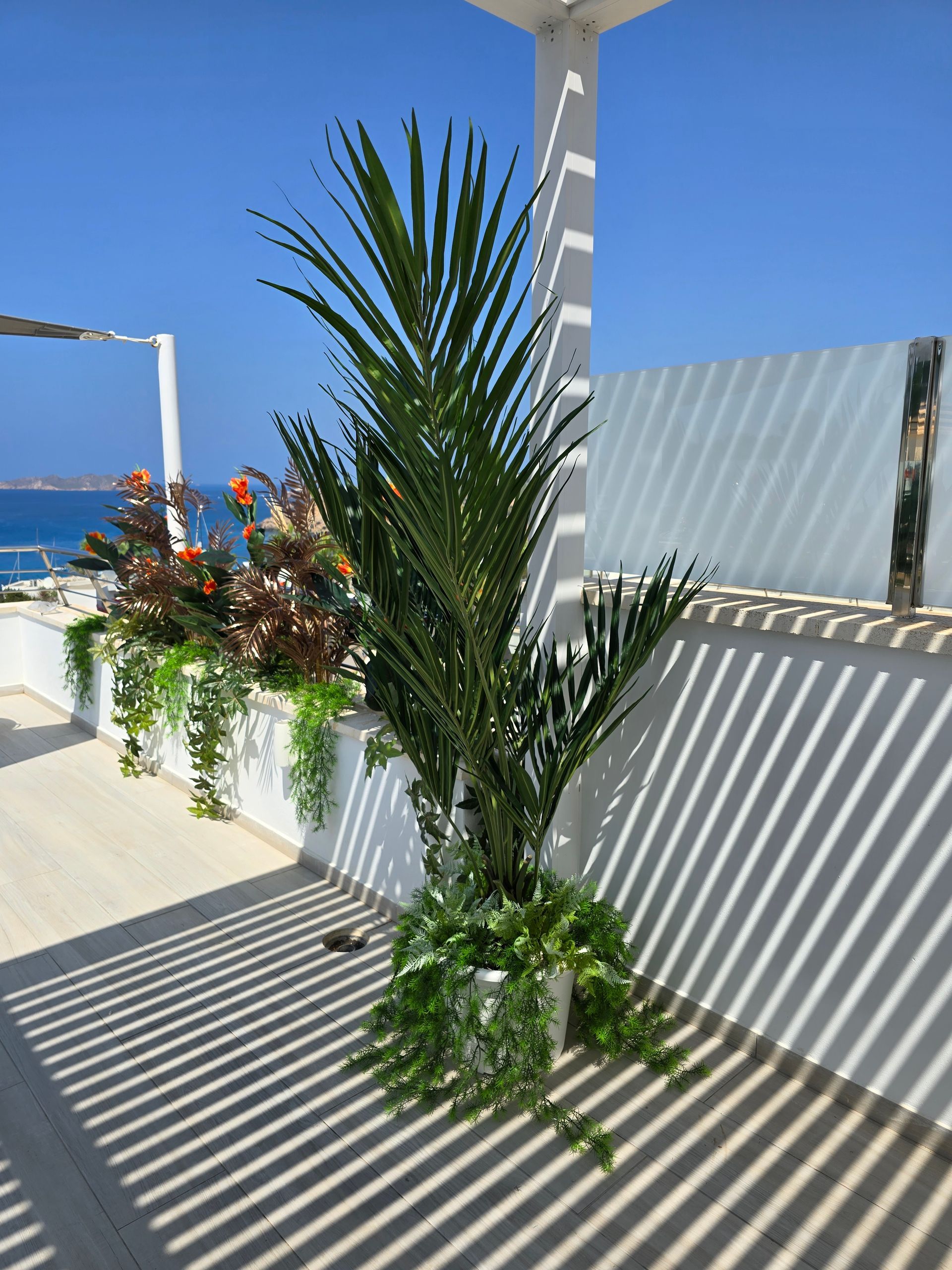 Palmeras y vegetación en cascada sobre un patio blanco, proyectando sombras. Se ve el océano azul.