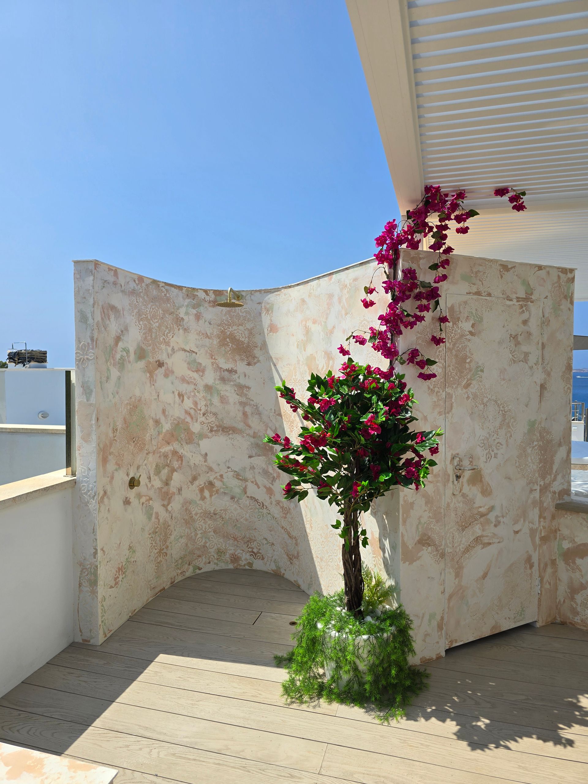 Un pequeño árbol con flores rosas crece en un patio con paredes texturizadas y claras y una pérgola blanca