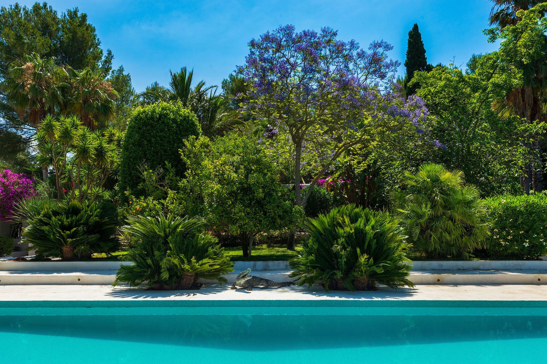 Una piscina turquesa con exuberantes árboles en flor de color verde y morado bajo un cielo azul brillante.