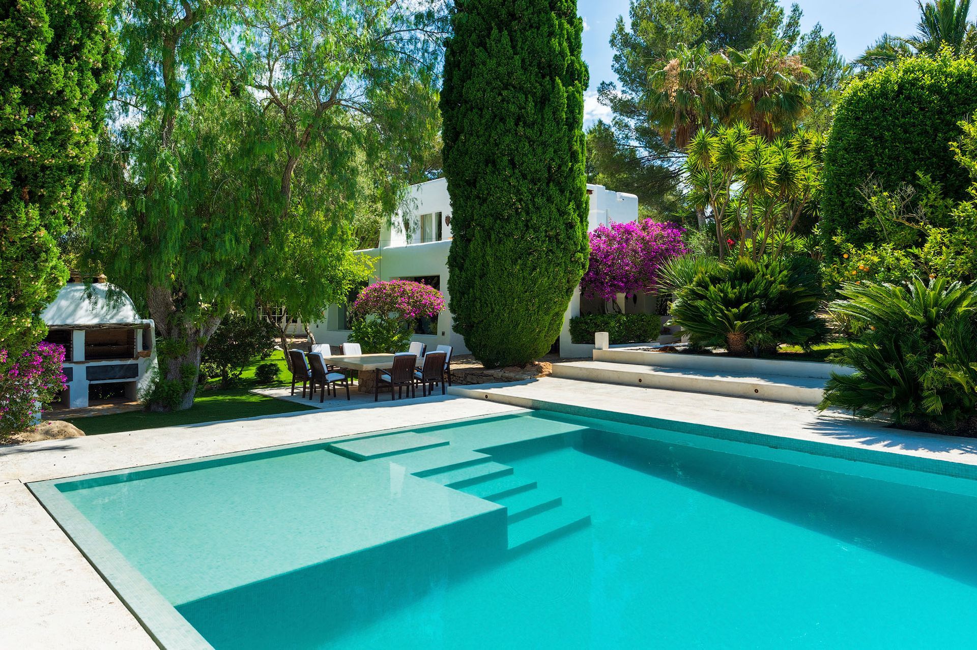 Piscina con escaleras, rodeada de árboles verdes y una casa blanca.