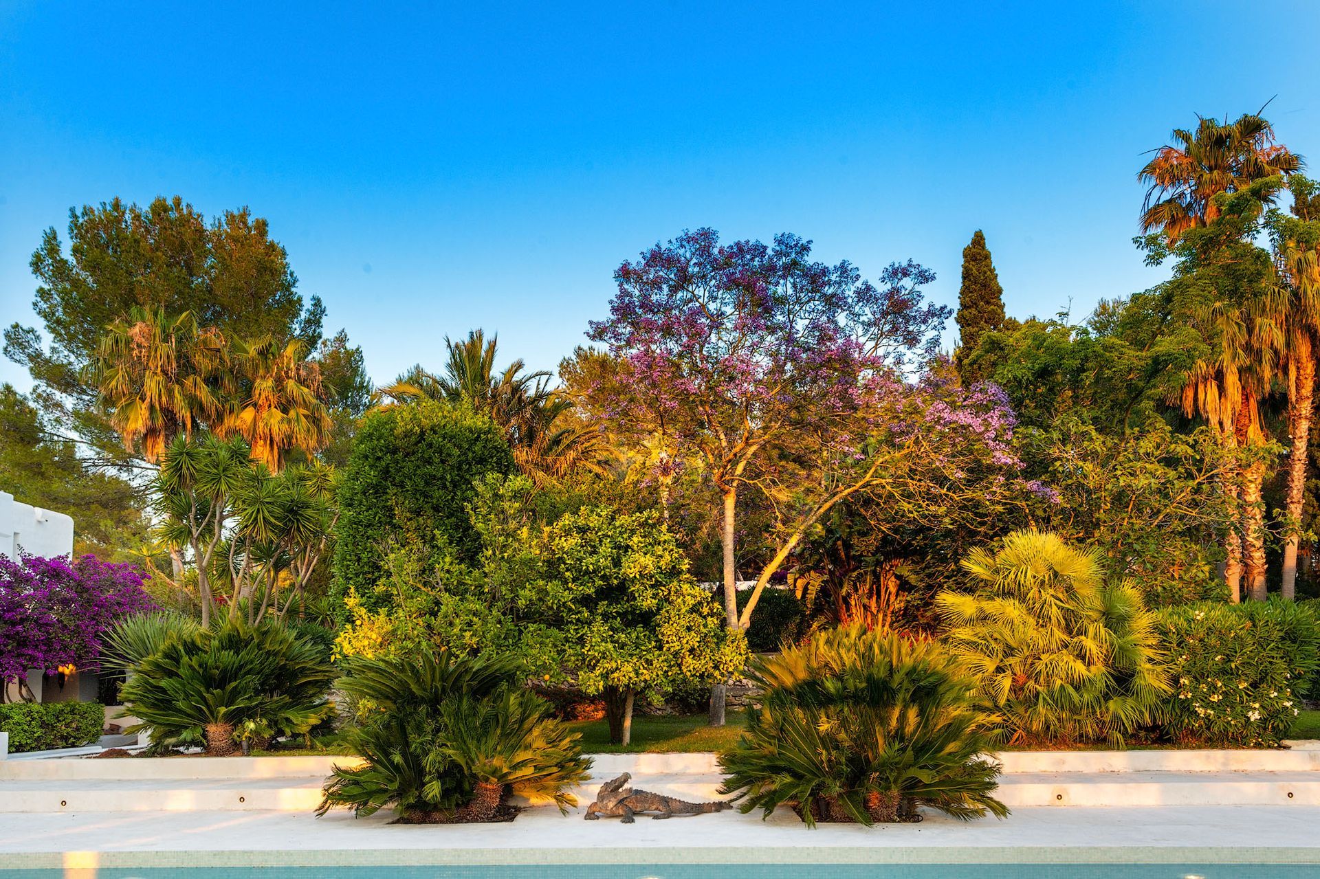Jardín exuberante y soleado con diversos árboles y flores coloridas, que se reflejan en una piscina.