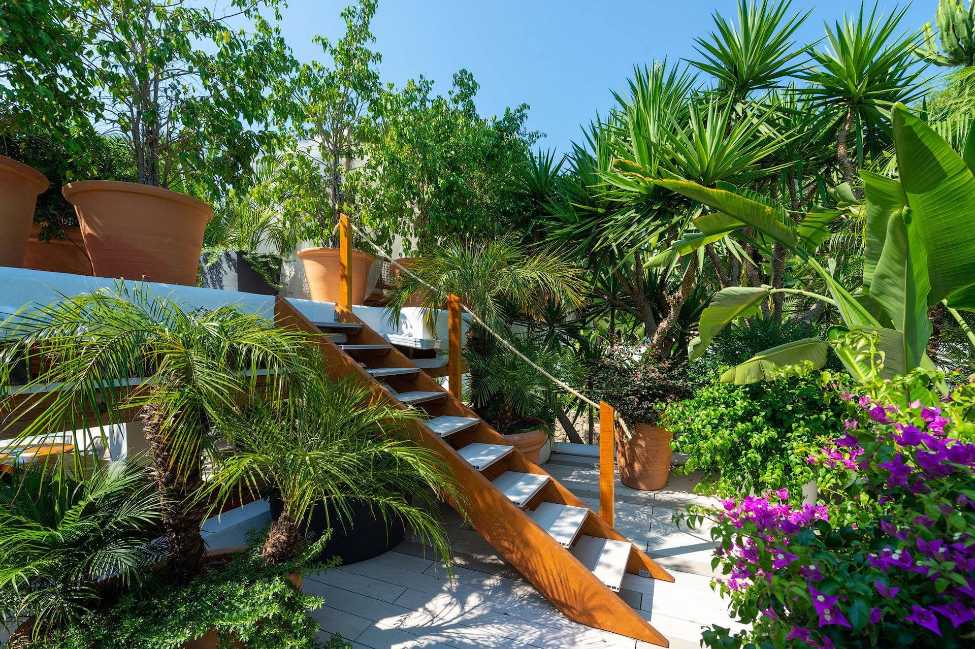 Escalera de madera en un exuberante jardín con varias plantas, macetas y flores moradas.