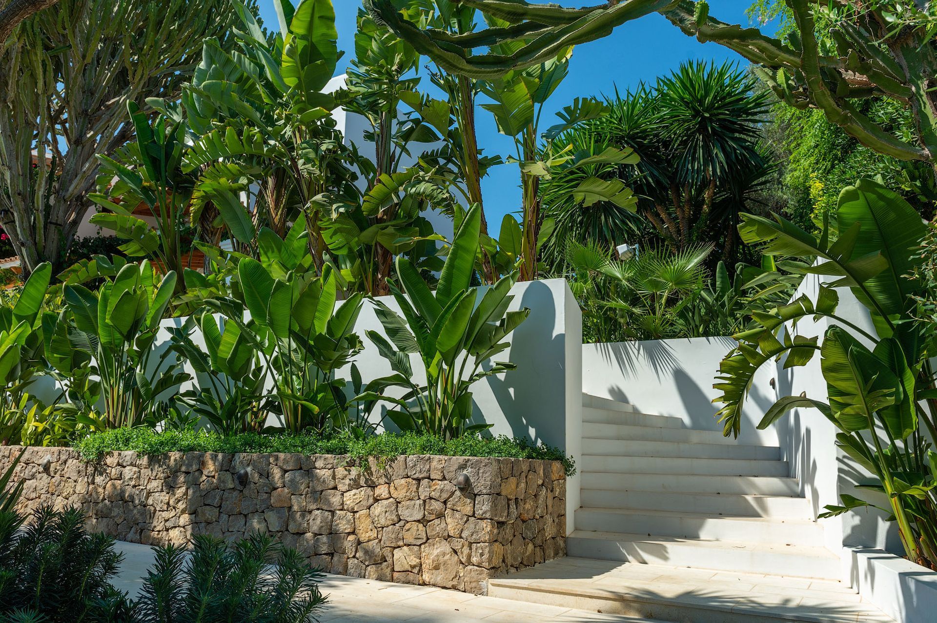 Muro de piedra con escalones que suben, rodeado de exuberantes plantas tropicales contra un cielo azul brillante.