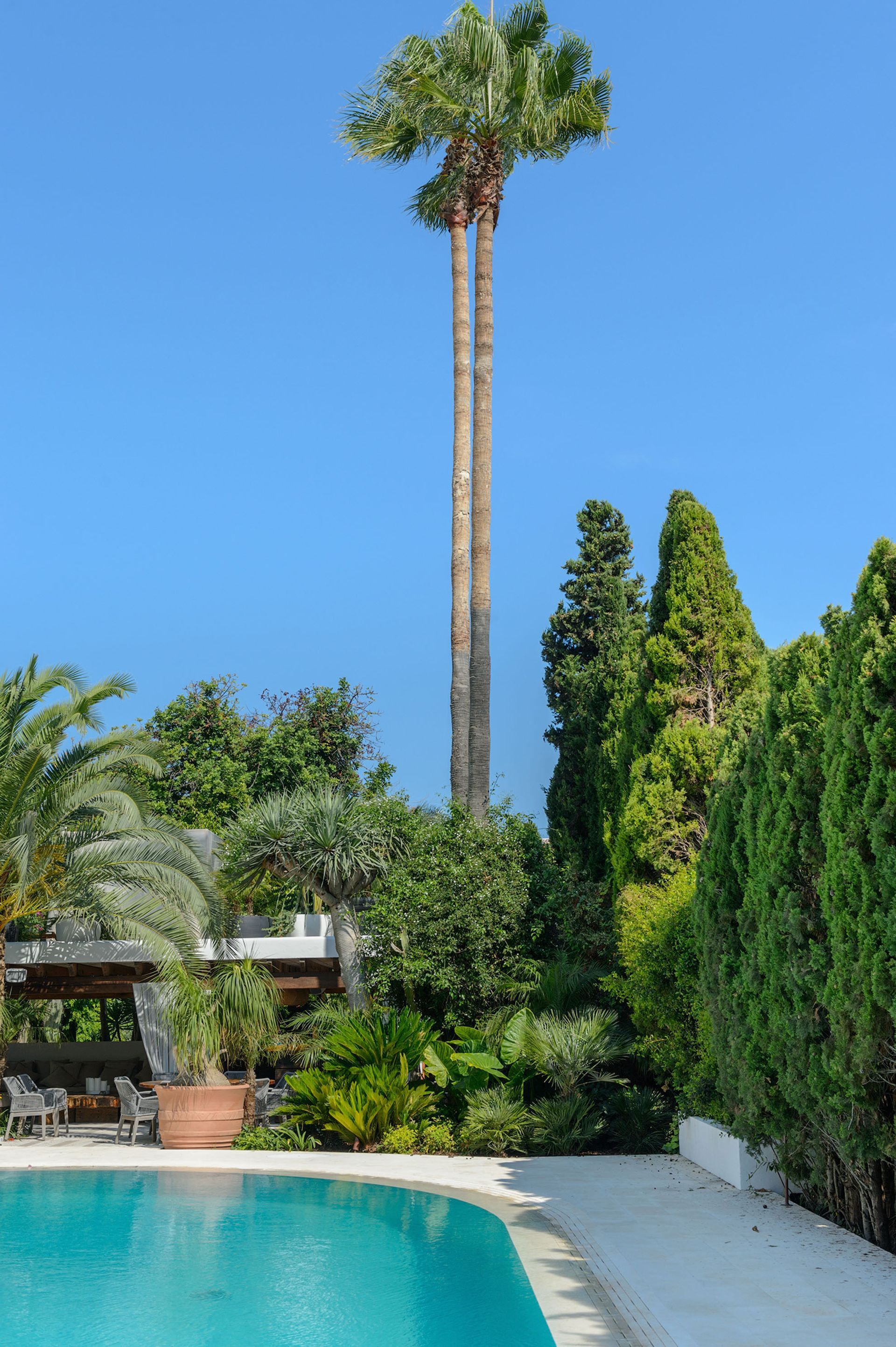 Vista de la piscina con palmeras altas contra un cielo azul claro, rodeada de exuberante follaje verde.