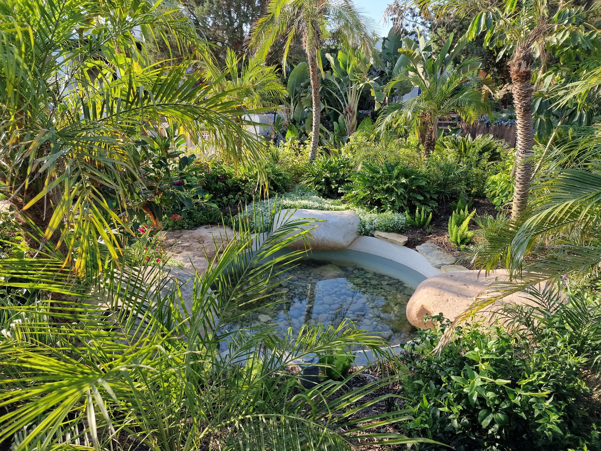 Un exuberante y verde jardín tropical con un pequeño estanque rodeado de rocas y palmeras bajo un cielo brillante.