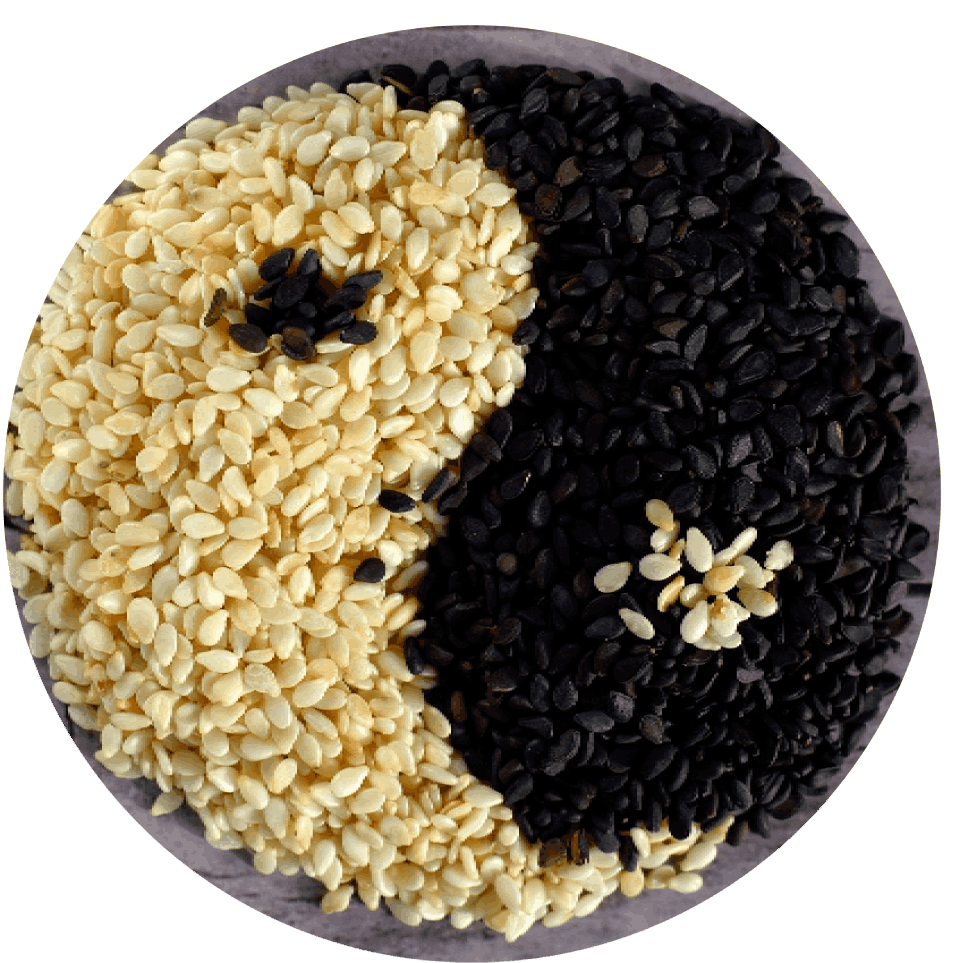 Qi Balance - Reiskörner in Form des Yin-Yang-Symbols