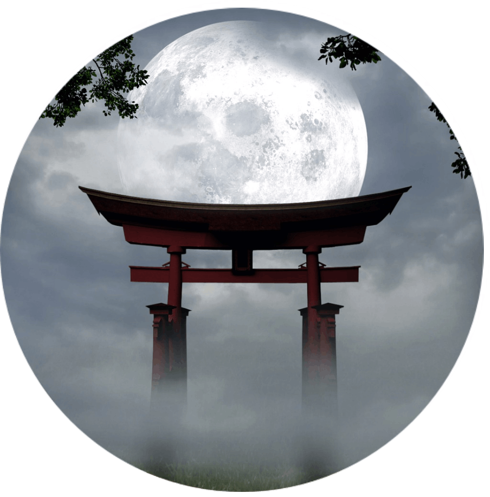 Qi Balance - Frau an einem Laptop in einem Videocall