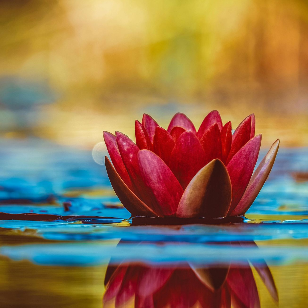 Qi Balance - Foto Volker