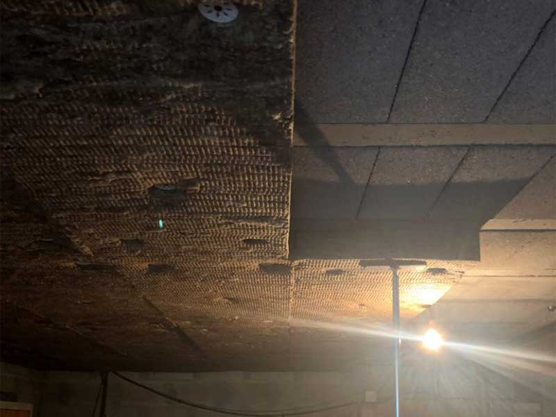Travaux d'isolation d'un sous-sol avec une partie du plafond recouverte de plaques d'isolant