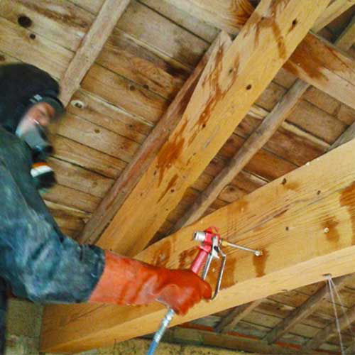 Traitement curatif par injection contre les champignons en charpente bois