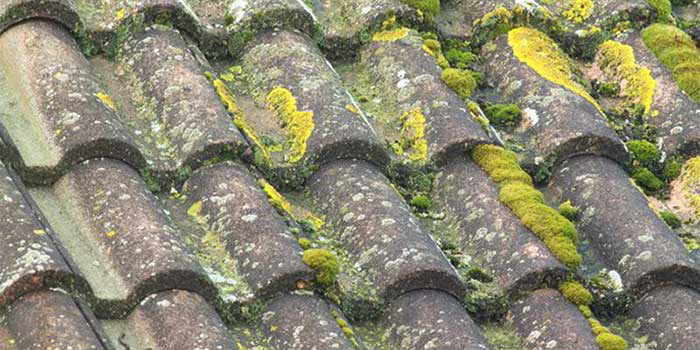 Tuiles grises de toiture atteintes par la mousse