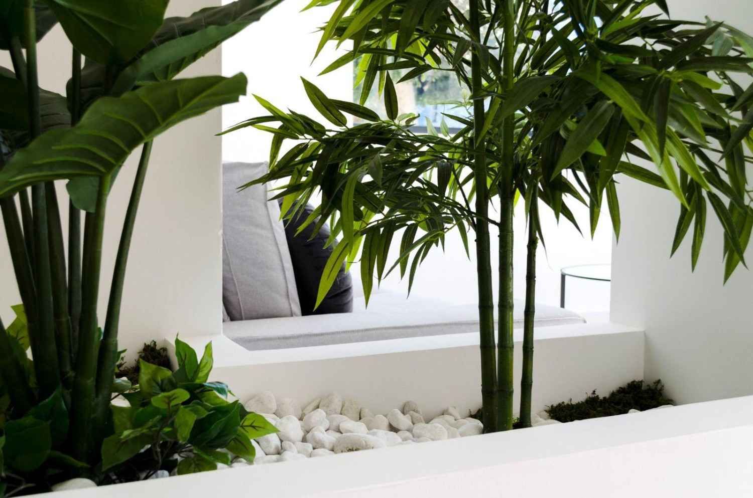 Rincón de estar moderno en el interior con bancos blancos, guijarros y altas plantas tropicales verdes.