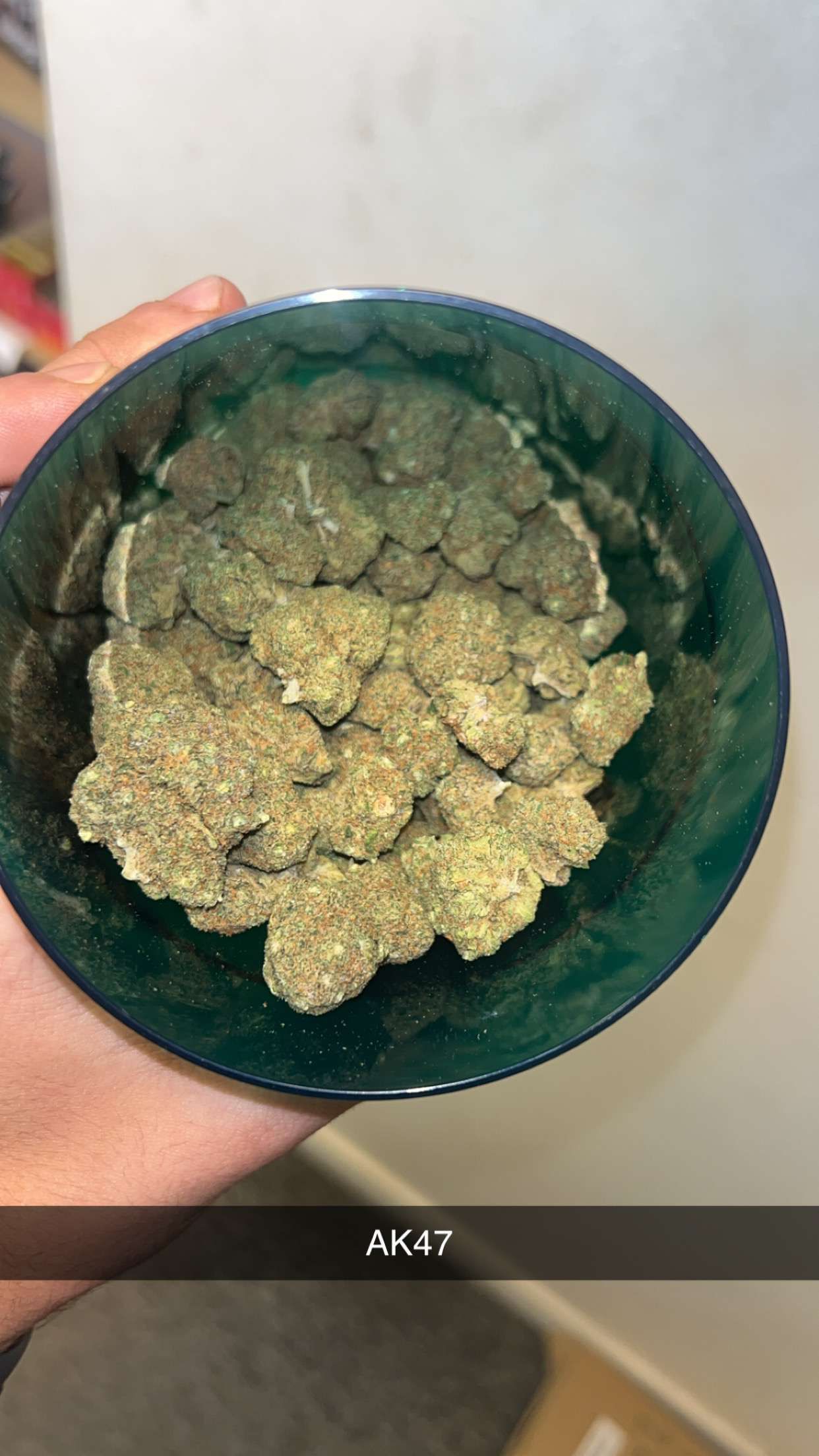 Une personne tient un bol d'herbe dans sa main.