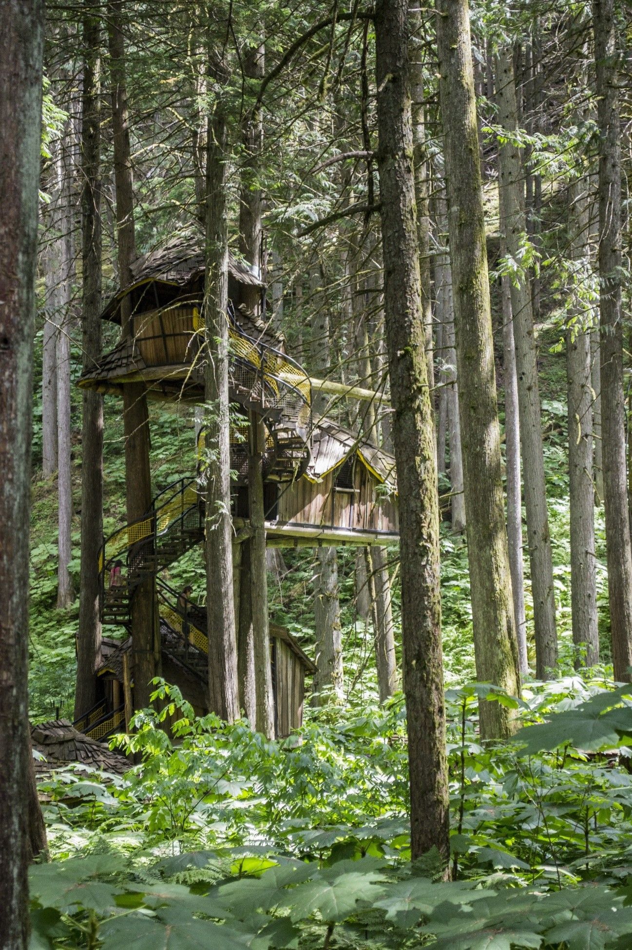 Alta casa en un árbol de madera en un frondoso bosque, con una escalera de caracol y varios niveles.