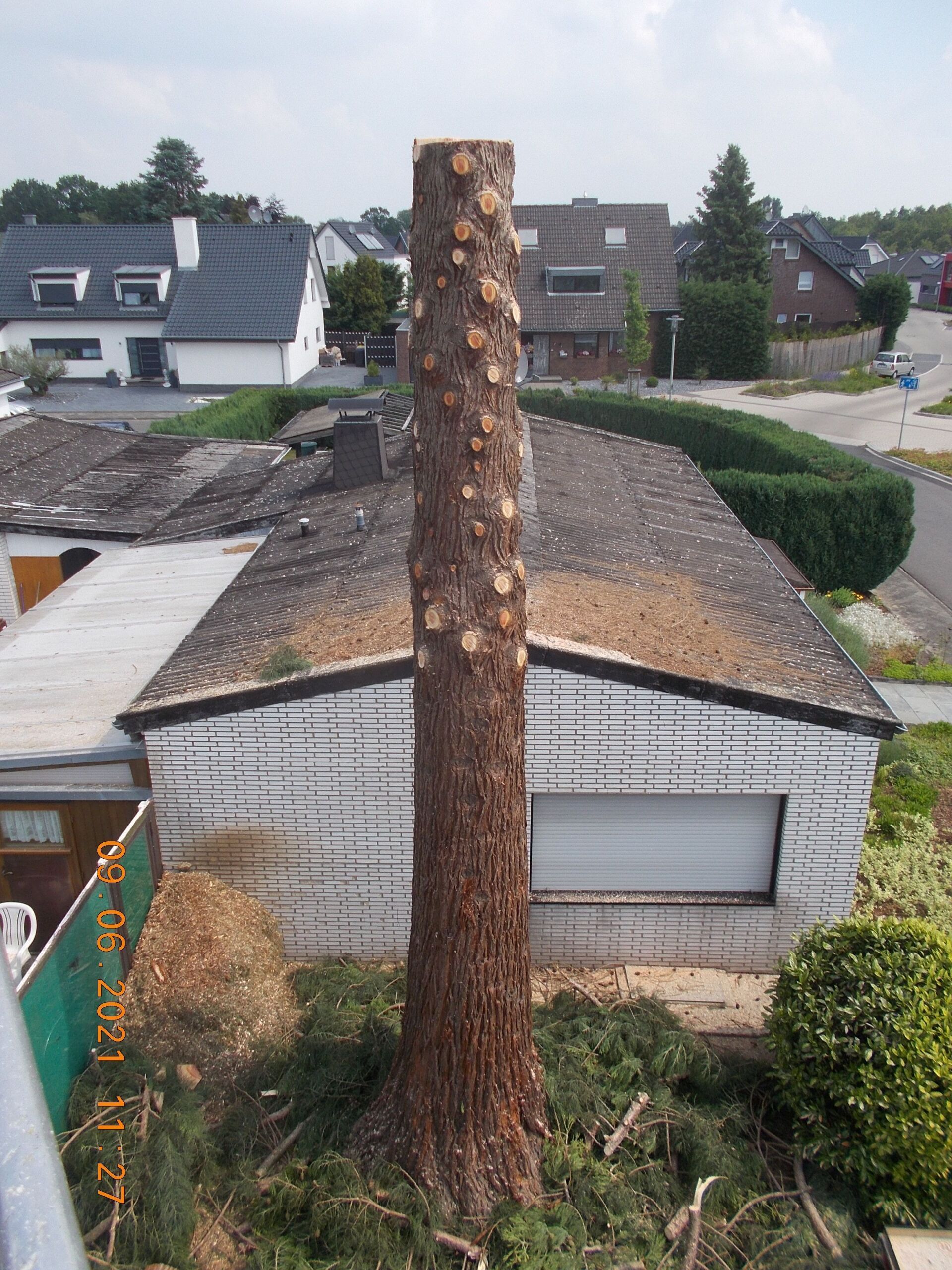 Baumfällung und Baumpflege