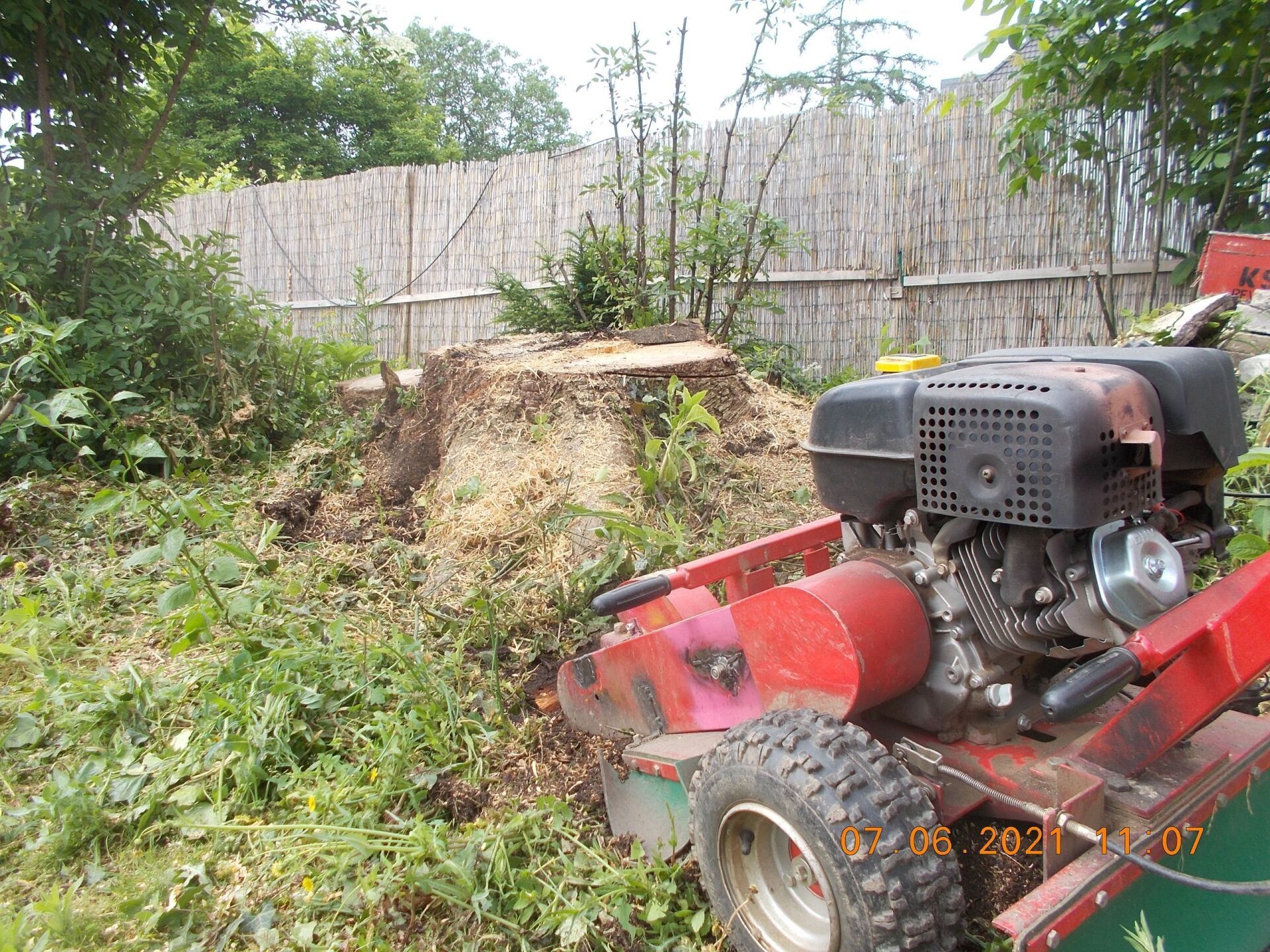 Baumfällung und Baumpflege