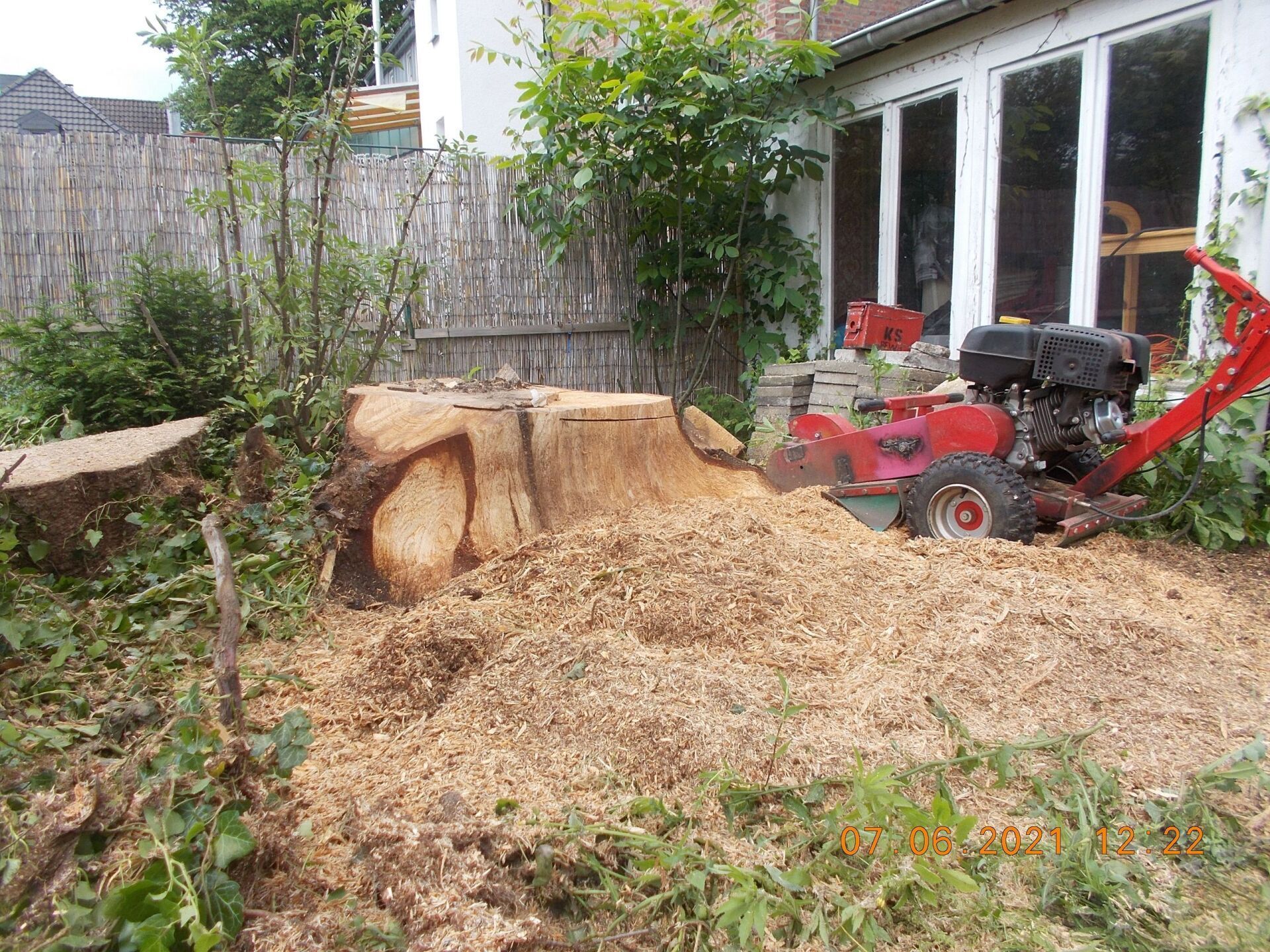 Baumfällung und Baumpflege