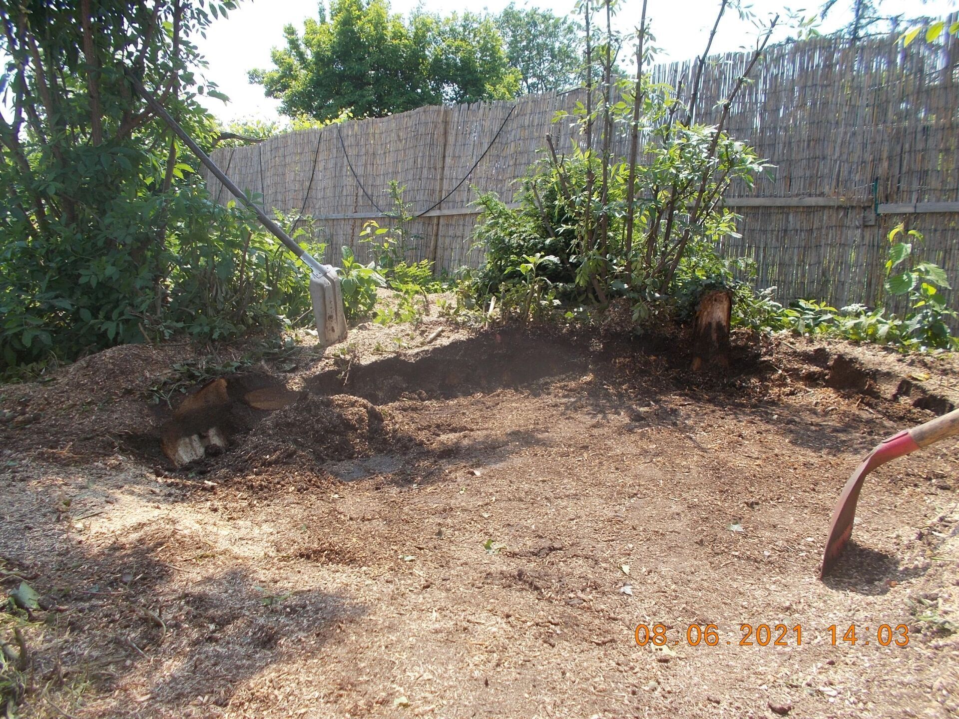 Baumfällung und Baumpflege