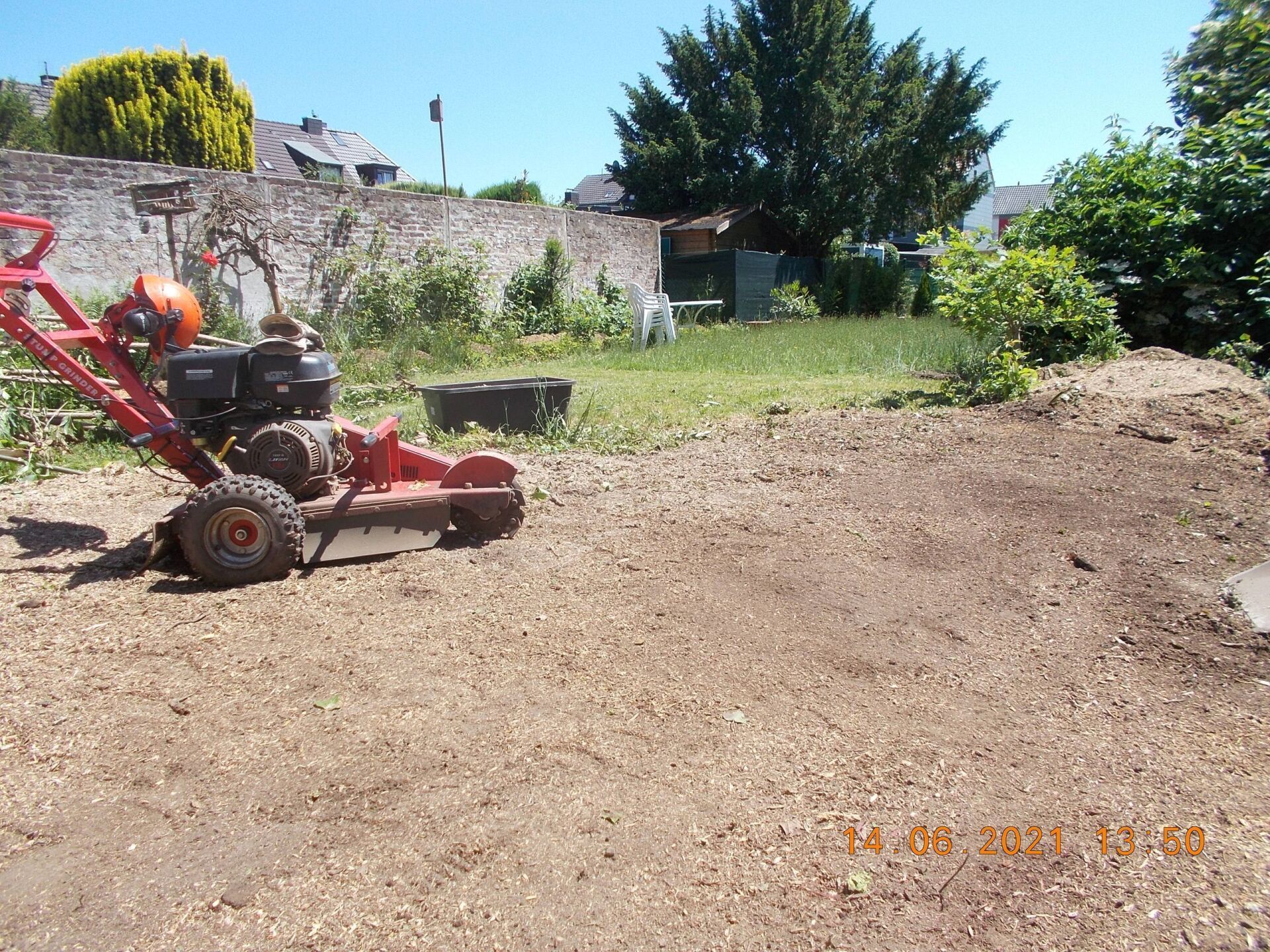 Baumfällung und Baumpflege