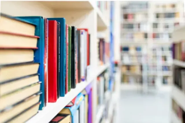 Una biblioteca llena de muchos libros en los estantes