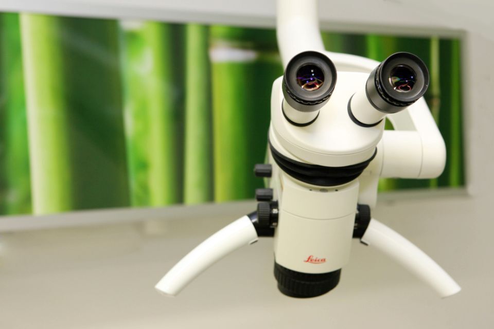 Zahnärztin Regina Gottselig-Sachs Mikroskop