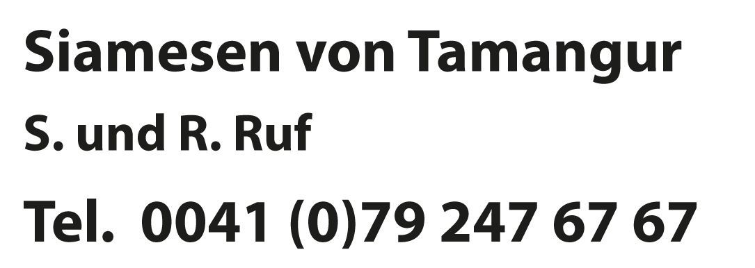 Siamesen von Tamangur